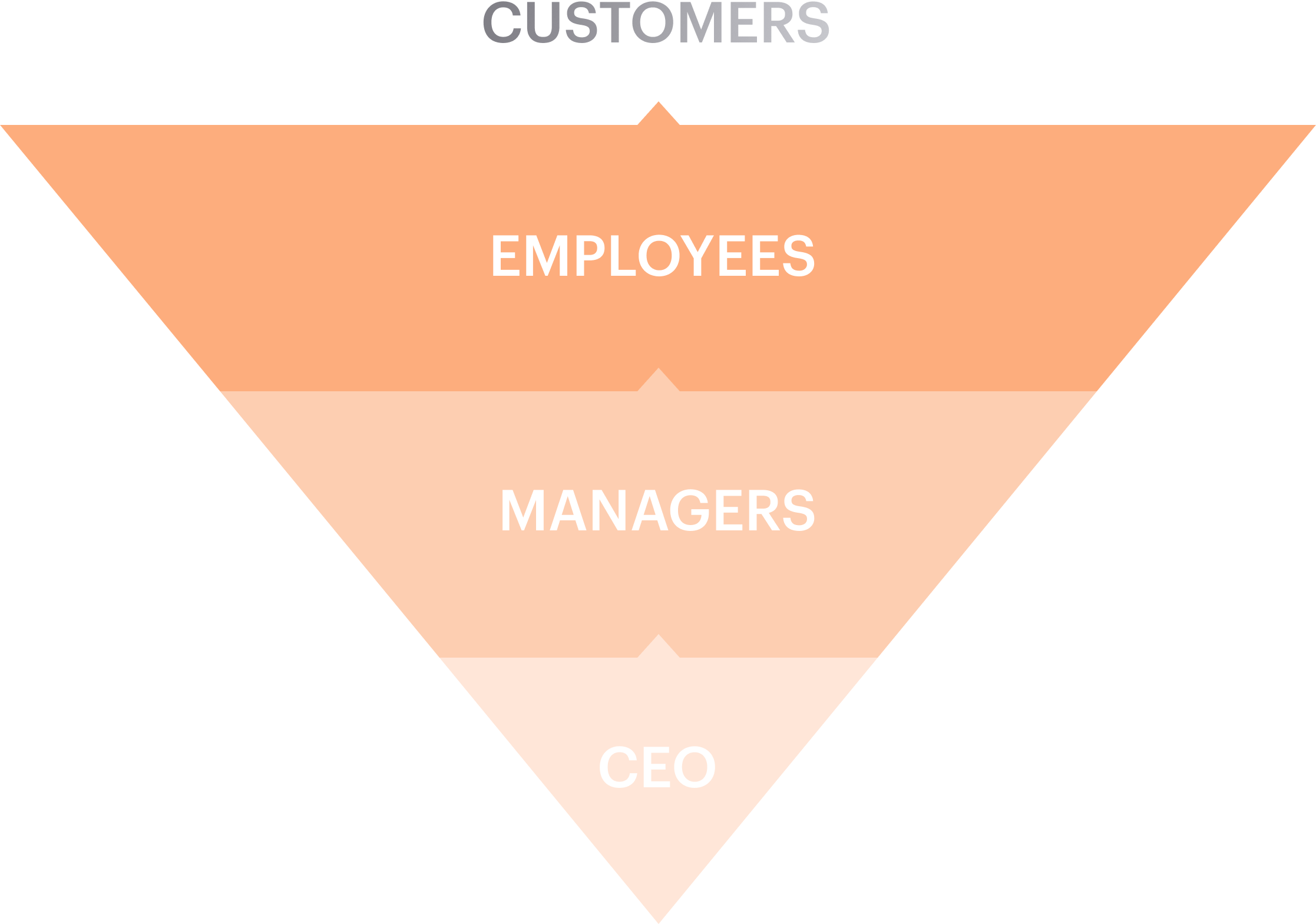 Synergo - full service web & mobile solutions team.