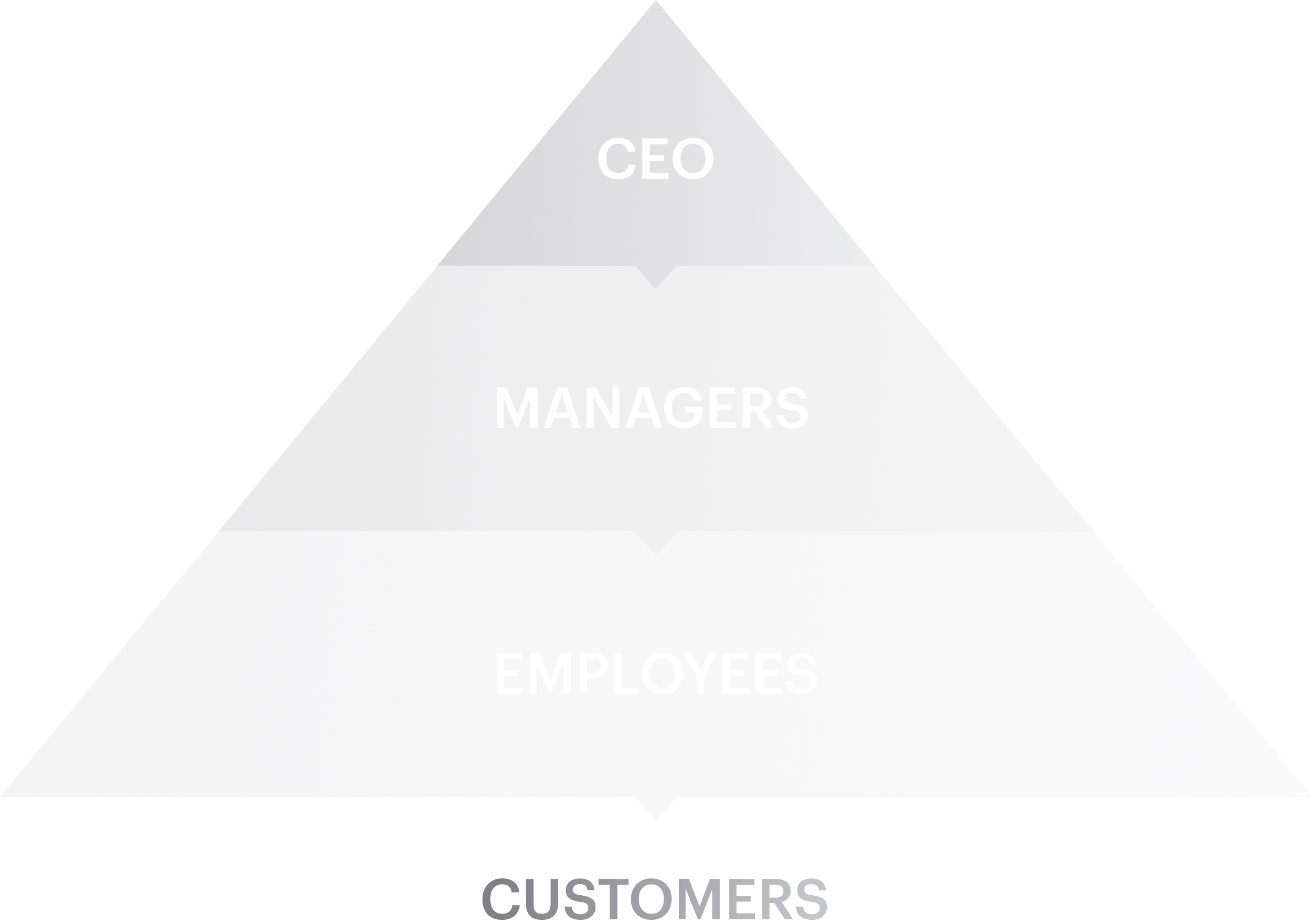 Synergo - full service web & mobile solutions team.